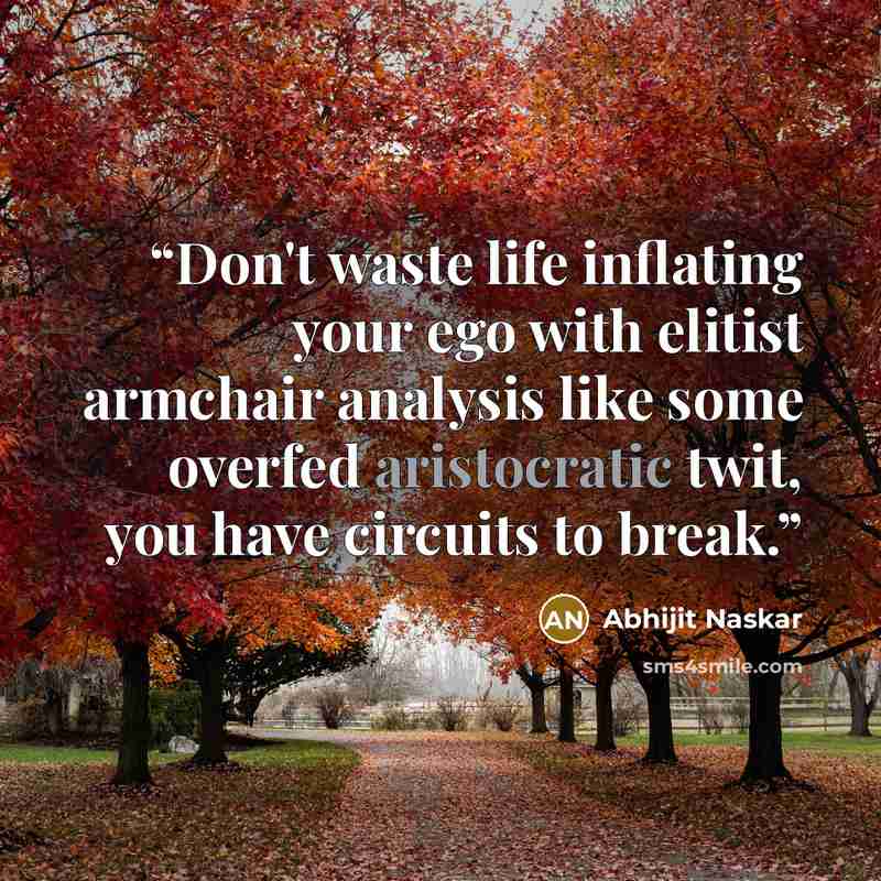 “Don't waste life inflating your ego with elitist armchair analysis like some overfed aristocratic twit, you have circuits to break.” quote by Abhijit Naskar