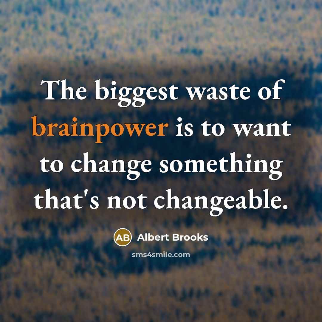 “The biggest waste of brainpower is to want to change something that's not changeable.” quote by Albert Brooks