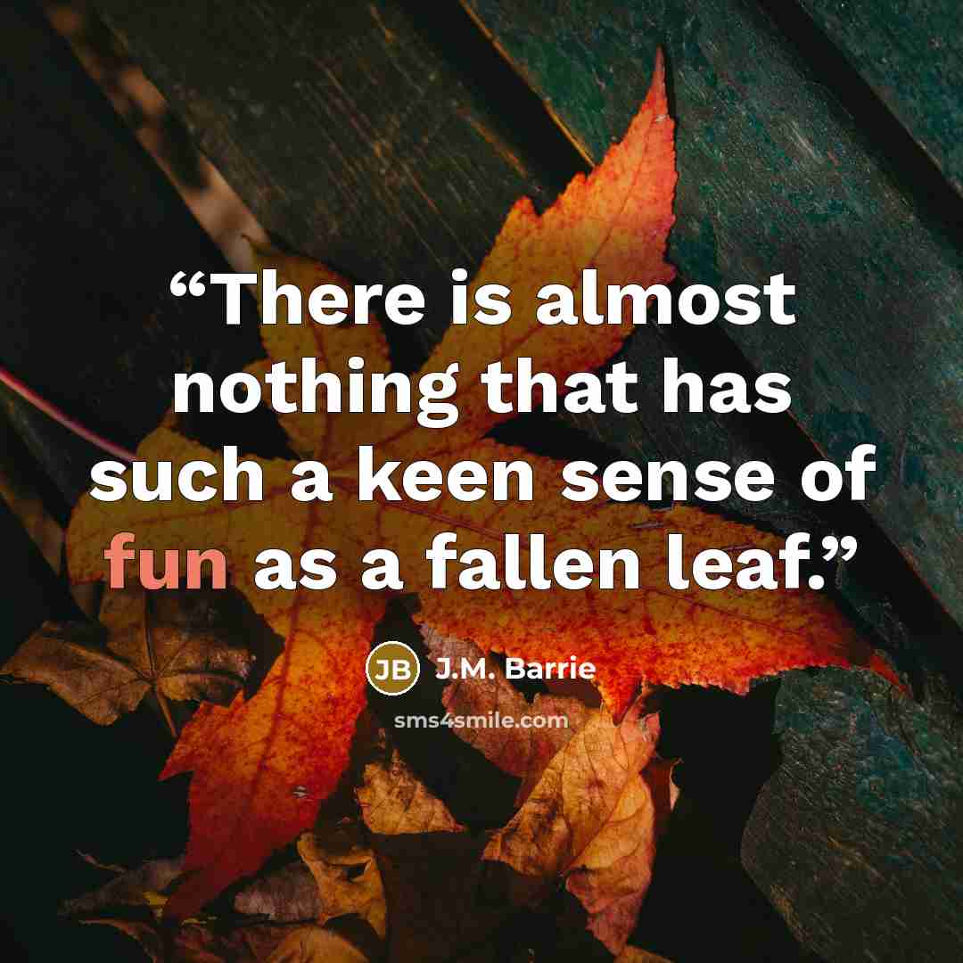 “There is almost nothing that has such a keen sense of fun as a fallen leaf.” quote by J.M. Barrie