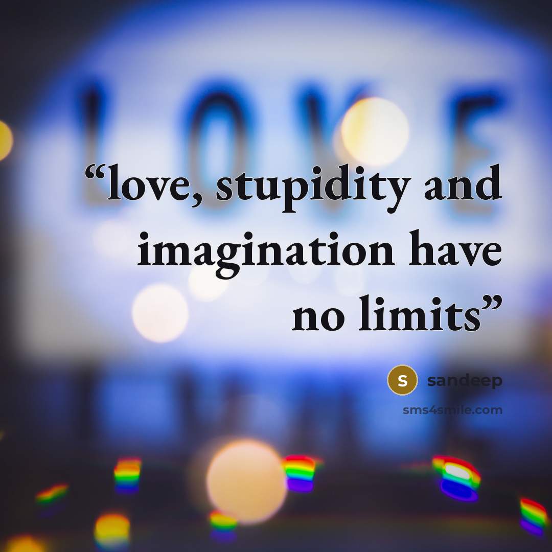 “love, stupidity and imagination have no limits” quote by sandeep