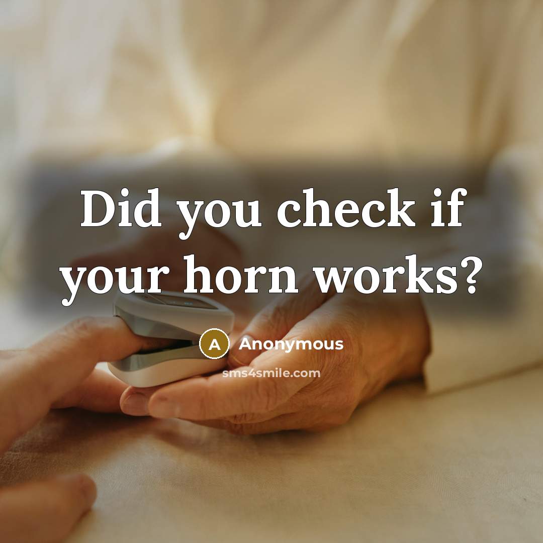 “Did you check if your horn works?” quote by Anonymous