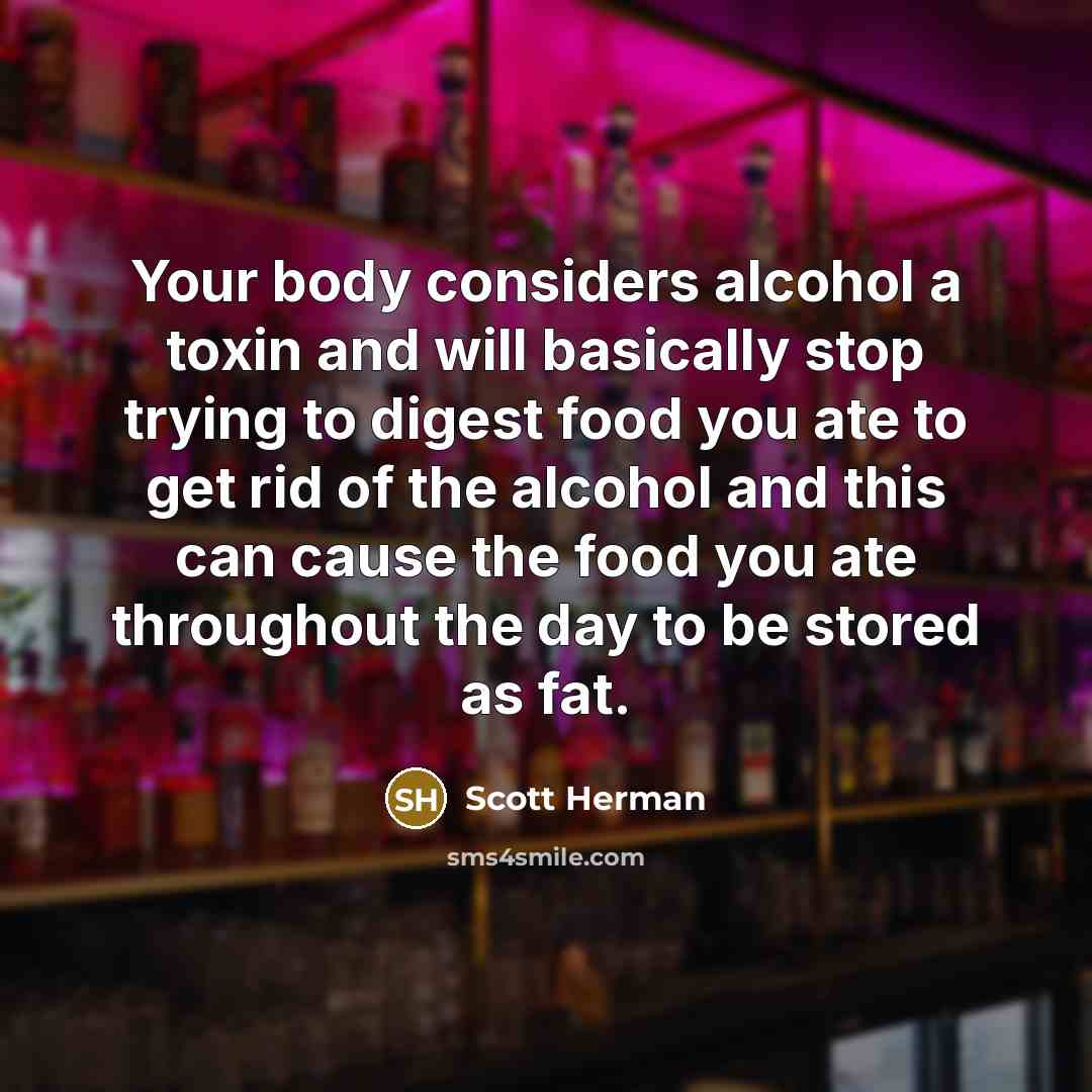 “Your body considers alcohol a toxin and will basically stop trying to digest food you ate to get rid of the alcohol and this can cause the food you ate throughout the day to be stored as fat.” quote by Scott Herman