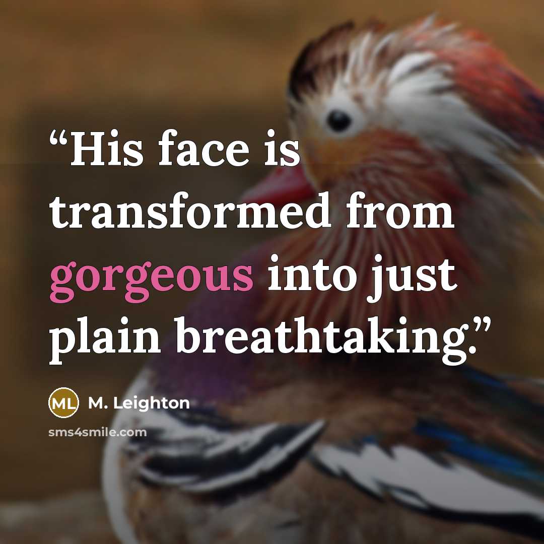 “His face is transformed from gorgeous into just plain breathtaking.” quote by M. Leighton