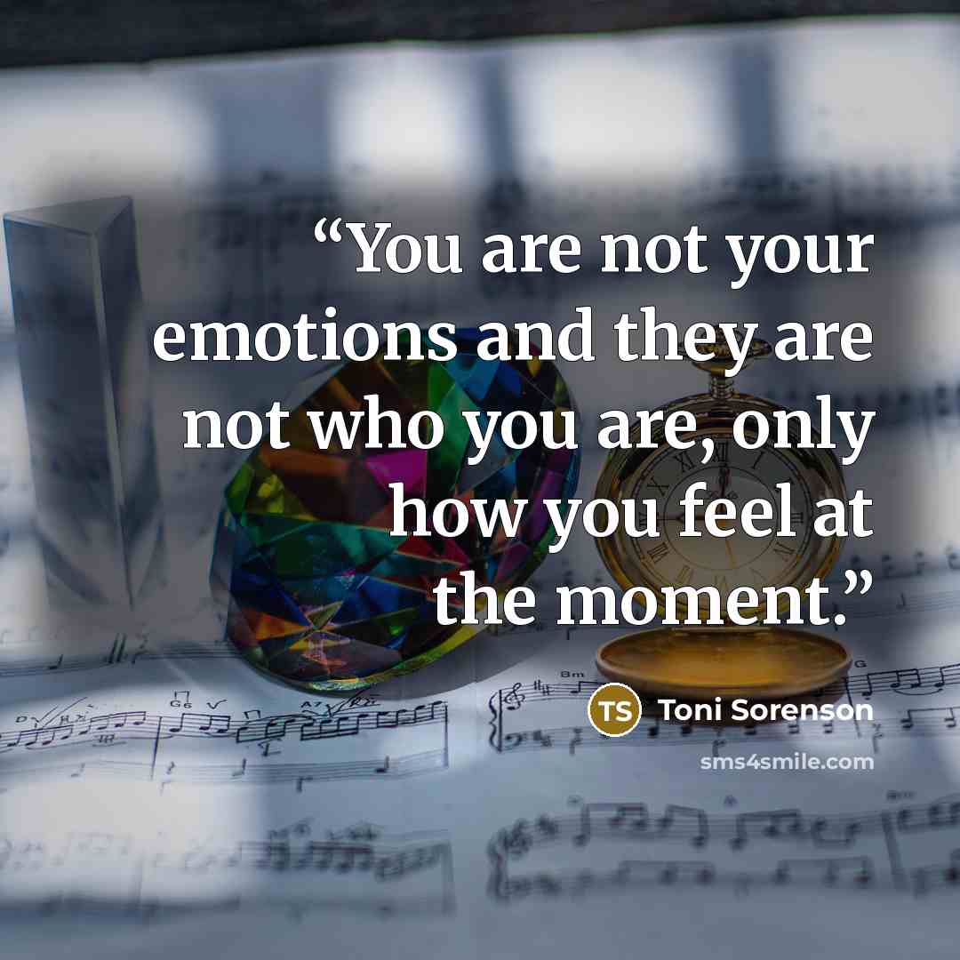 “You are not your emotions and they are not who you are, only how you feel at the moment.” quote by Toni Sorenson