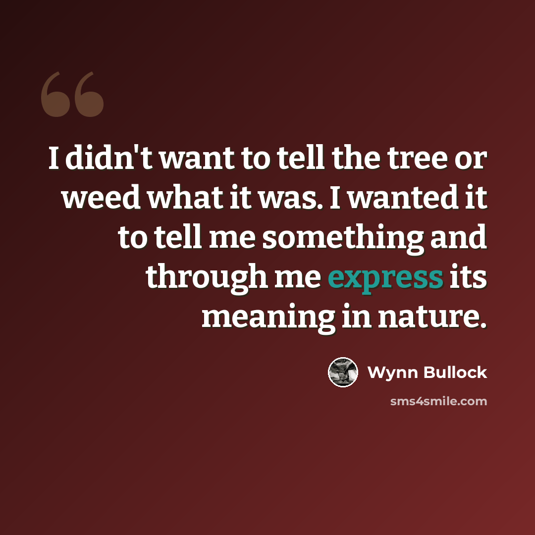 “I didn't want to tell the tree or weed what it was. I wanted it to tell me something and through me express its meaning in nature.” quote by Wynn Bullock
