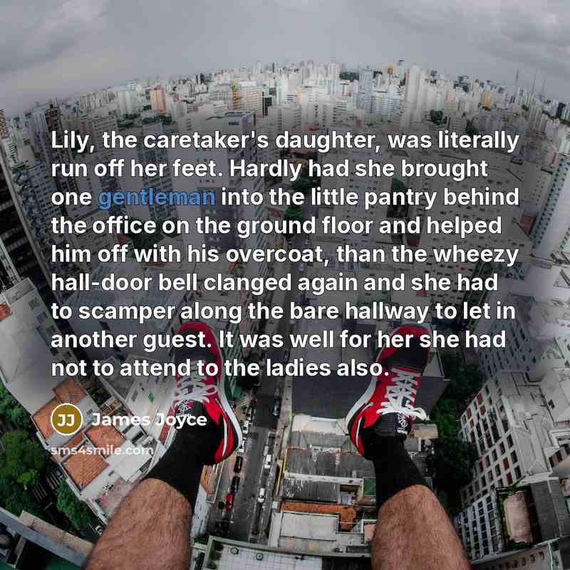 “Lily, the caretaker's daughter, was literally run off her feet. Hardly had she brought one gentleman into the little pantry behind the office on the ground floor and helped him off with his overcoat, than the wheezy hall-door bell clanged again and she had to scamper along the bare hallway to let…” quote by James Joyce