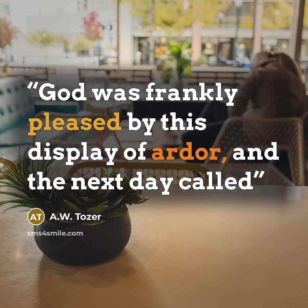 “God was frankly pleased by this display of ardor, and the next day called” quote by A.W. Tozer