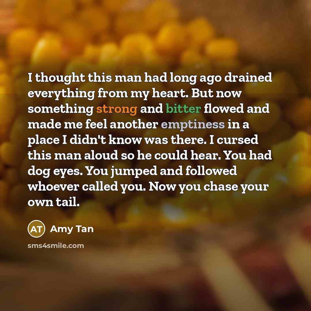 “I thought this man had long ago drained everything from my heart. But now something strong and bitter flowed and made me feel another emptiness in a place I didn't know was there. I cursed this man aloud so he could hear. You had dog eyes. You jumped and followed whoever called you. Now you chase…” quote by Amy Tan