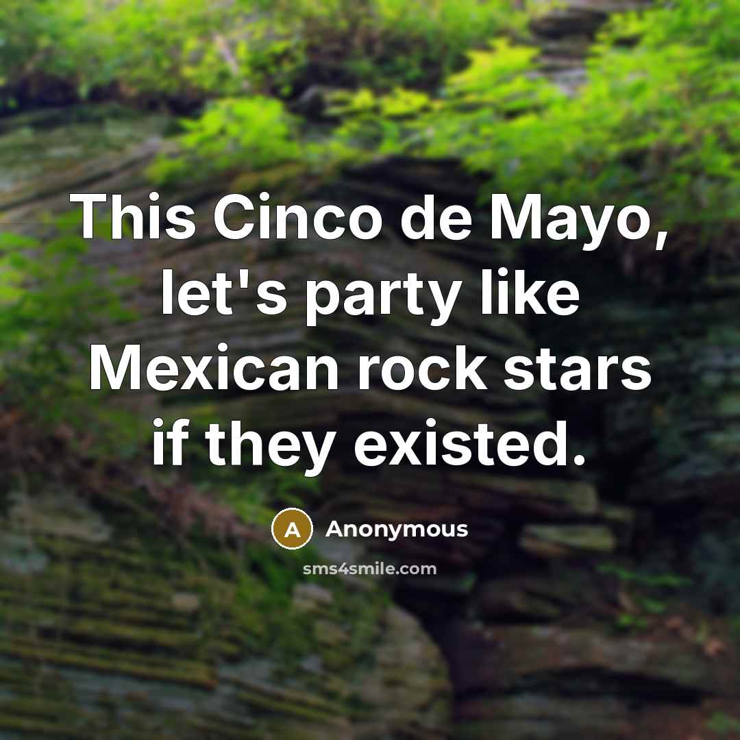 “This Cinco de Mayo, let's party like Mexican rock stars if they existed.” quote by Anonymous