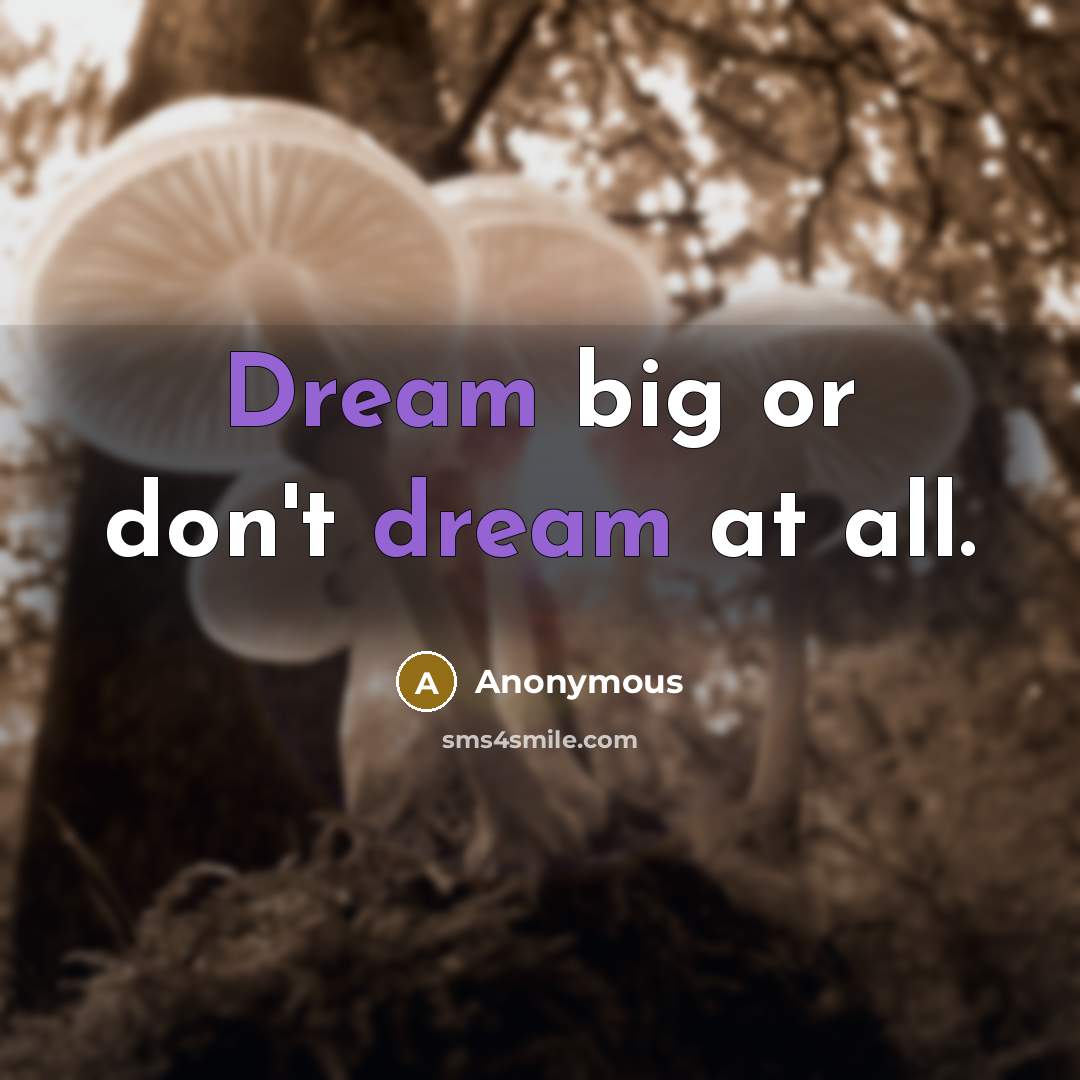 “Dream big or don't dream at all.” quote by Anonymous