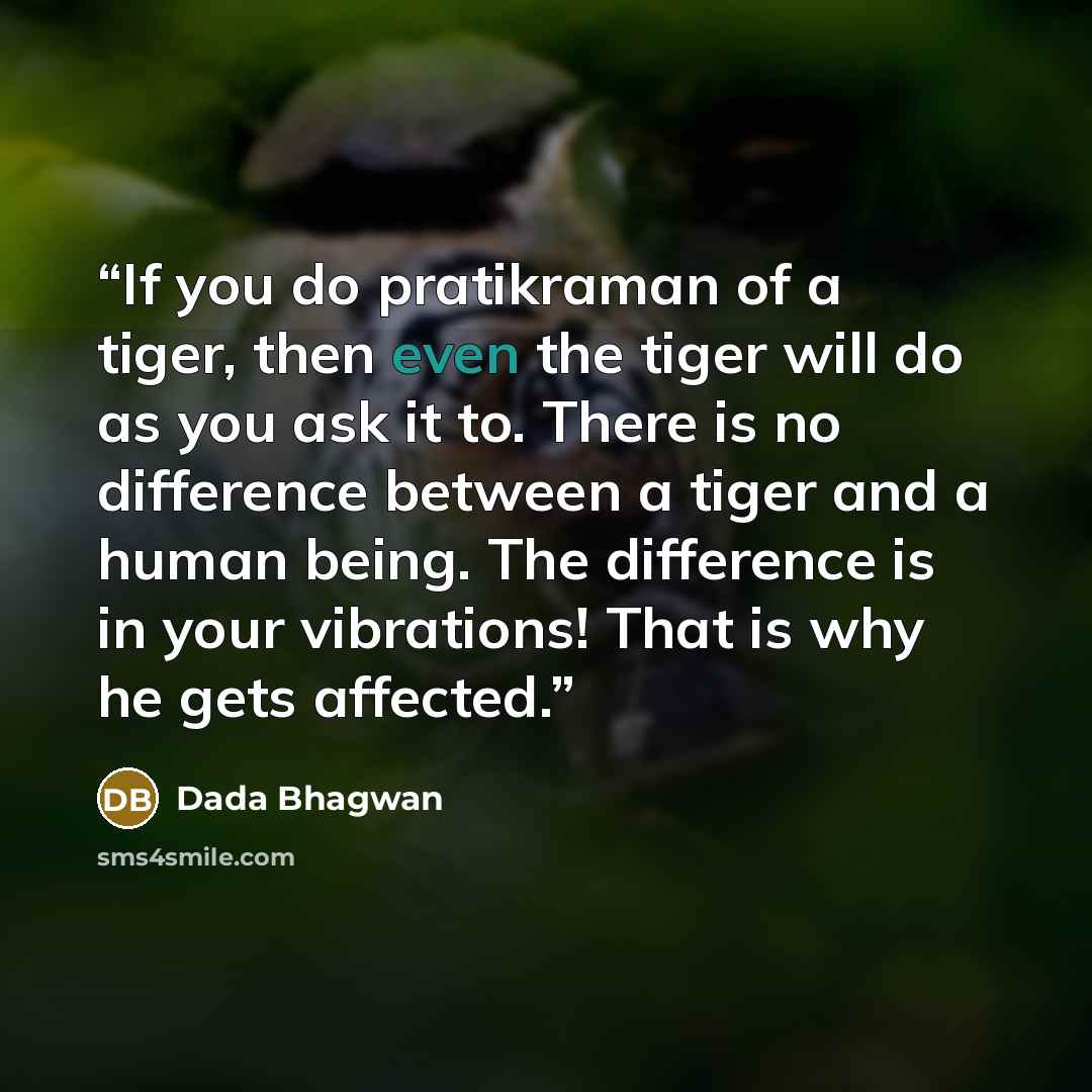 “If you do pratikraman of a tiger, then even the tiger will do as you ask it to. There is no difference between a tiger and a human being. The difference is in your vibrations! That is why he gets affected.” quote by Dada Bhagwan
