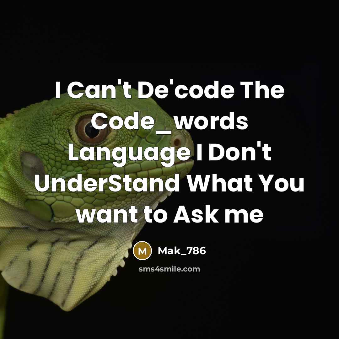 “I Can't De'code The Code_words Language I Don't UnderStand What You want to Ask me” quote by Mak_786