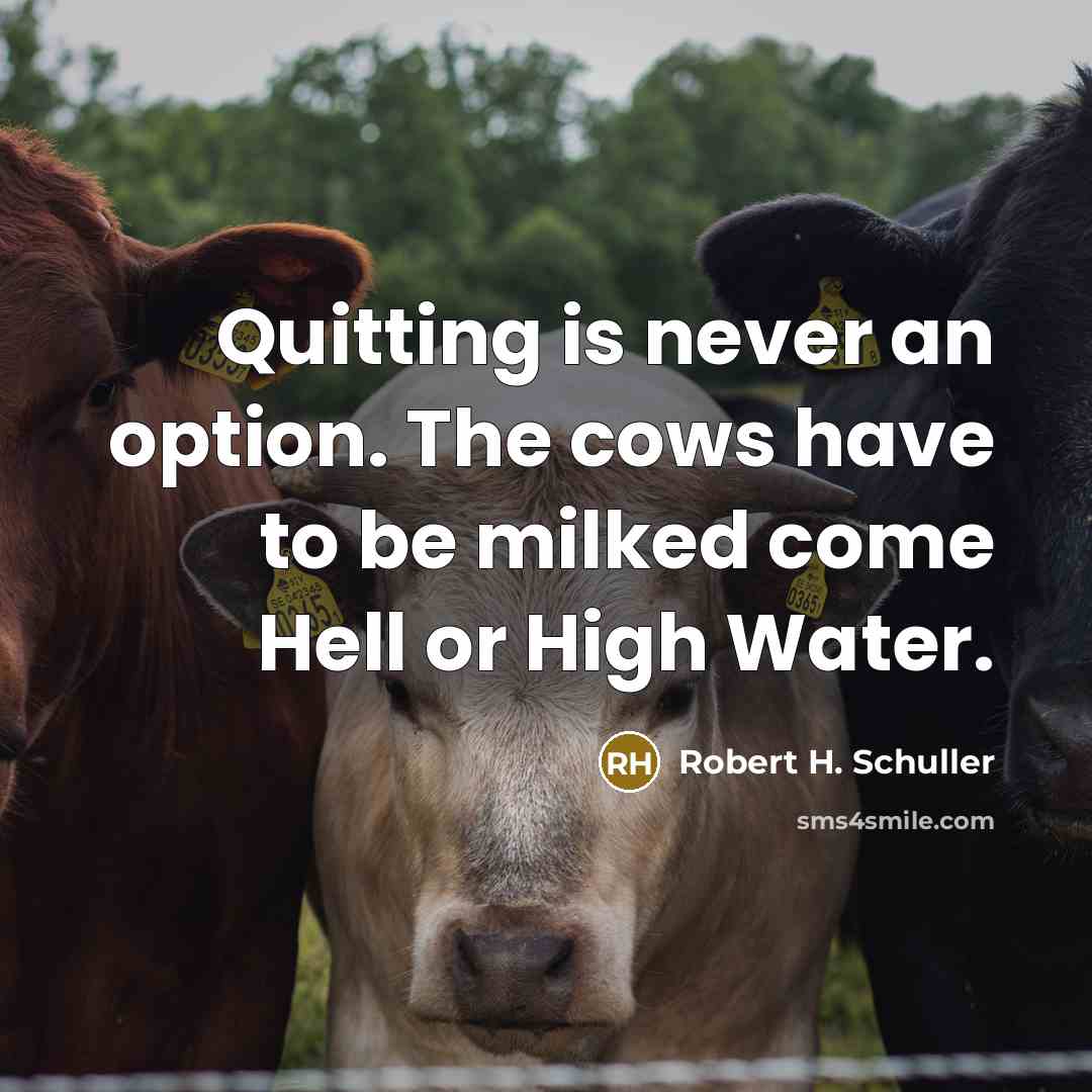 “Quitting is never an option. The cows have to be milked come Hell or High Water.” quote by Robert H. Schuller
