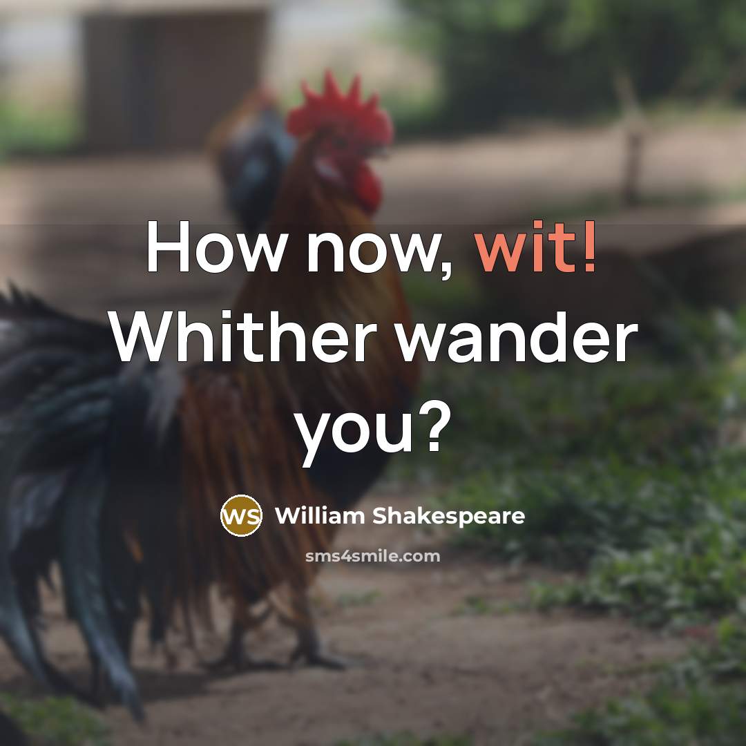 “How now, wit! Whither wander you?” quote by William Shakespeare
