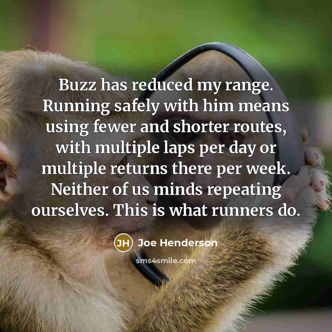 “Buzz has reduced my range. Running safely with him means using fewer and shorter routes, with multiple laps per day or multiple returns there per week. Neither of us minds repeating ourselves. This is what runners do.” quote by Joe Henderson