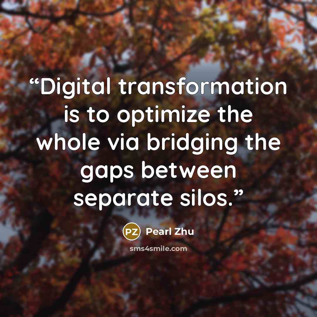 “Digital transformation is to optimize the whole via bridging the gaps between separate silos.” quote by Pearl Zhu
