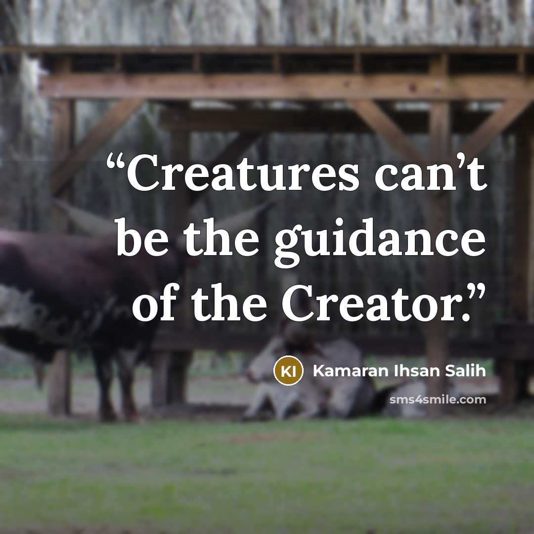 “Creatures can’t be the guidance of the Creator.” quote by Kamaran Ihsan Salih