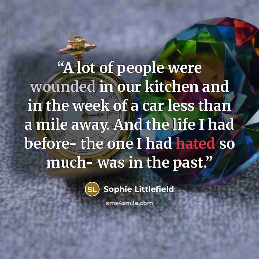 “A lot of people were wounded in our kitchen and in the week of a car less than a mile away. And the life I had before- the one I had hated so much- was in the past.” quote by Sophie Littlefield