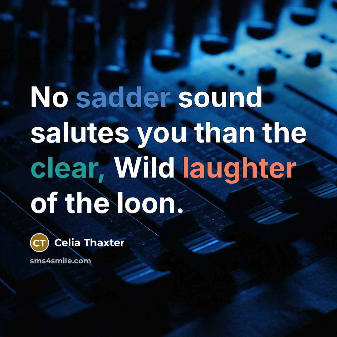 “No sadder sound salutes you than the clear, Wild laughter of the loon.” quote by Celia Thaxter