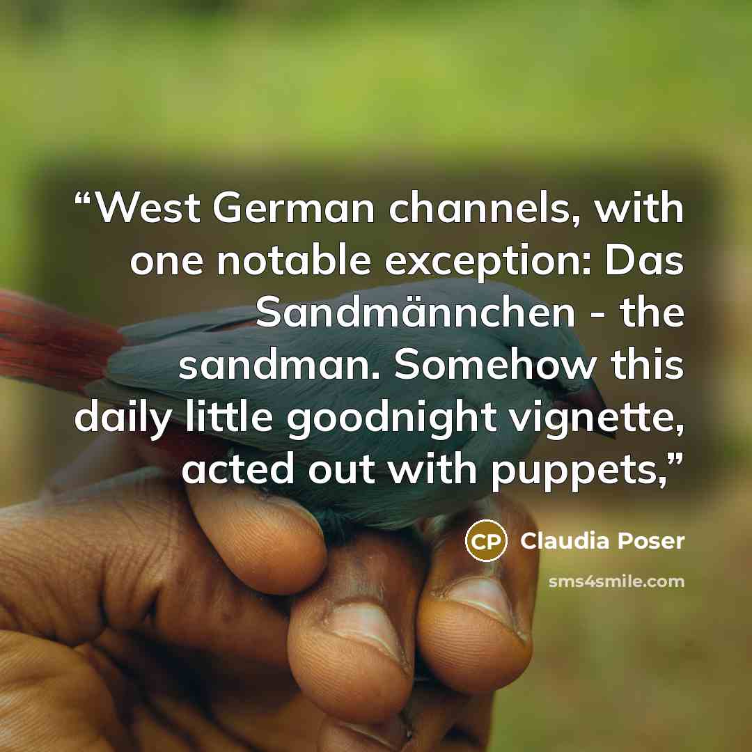 “West German channels, with one notable exception: Das Sandmännchen - the sandman. Somehow this daily little goodnight vignette, acted out with puppets,” quote by Claudia Poser