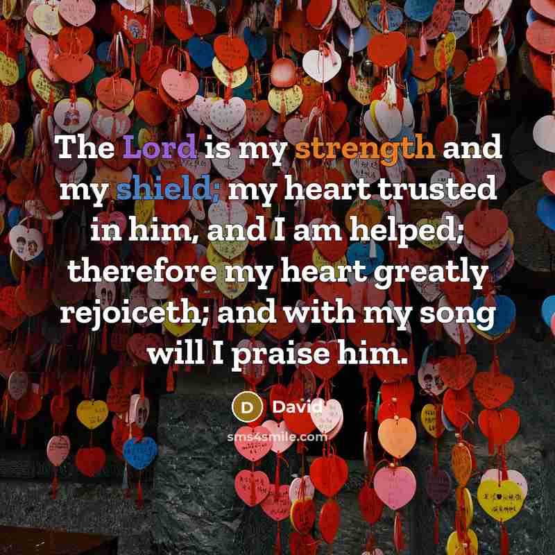 “The Lord is my strength and my shield; my heart trusted in him, and I am helped; therefore my heart greatly rejoiceth; and with my song will I praise him.” quote by David