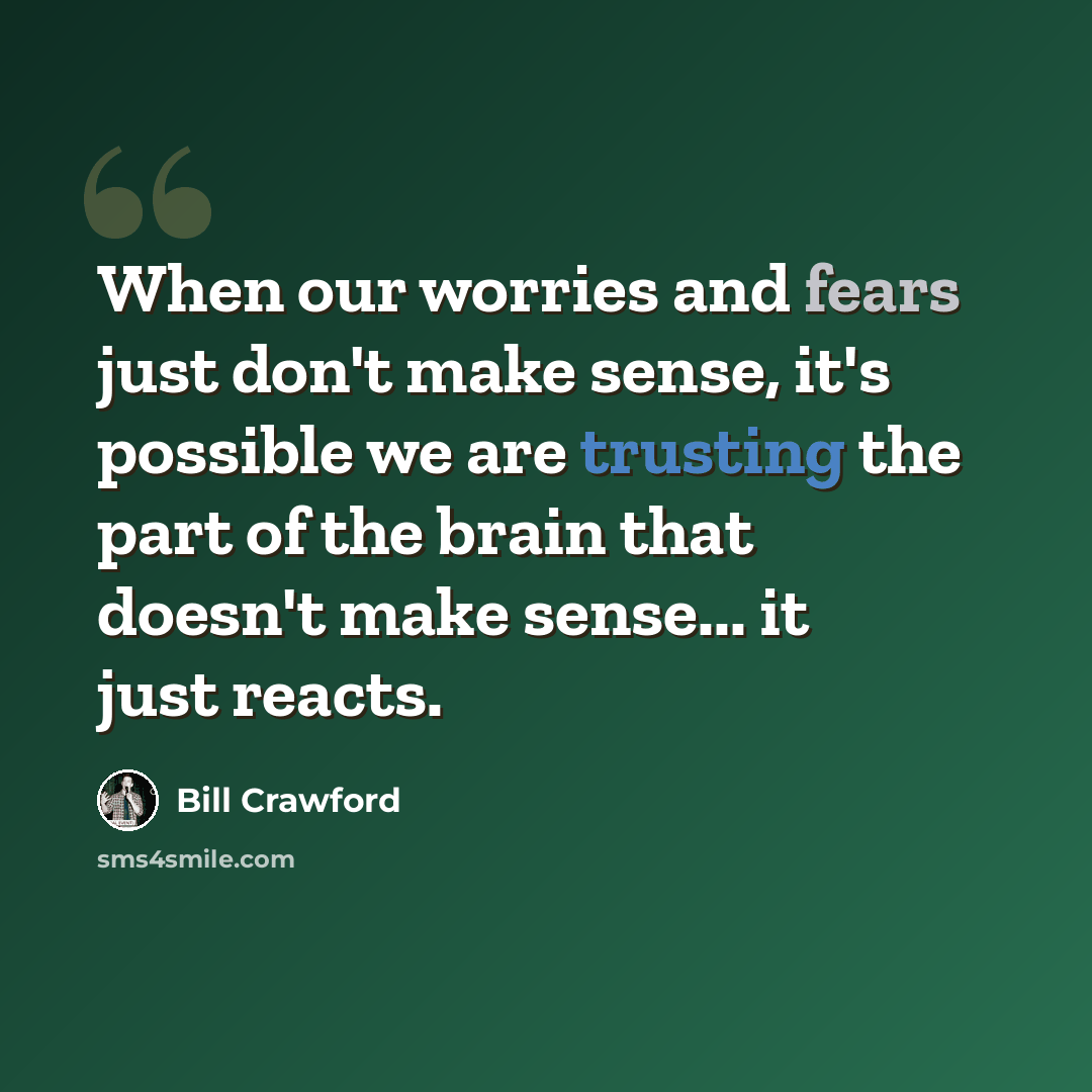 “When our worries and fears just don't make sense, it's possible we are trusting the part of the brain that doesn't make sense... it just reacts.” quote by Bill Crawford