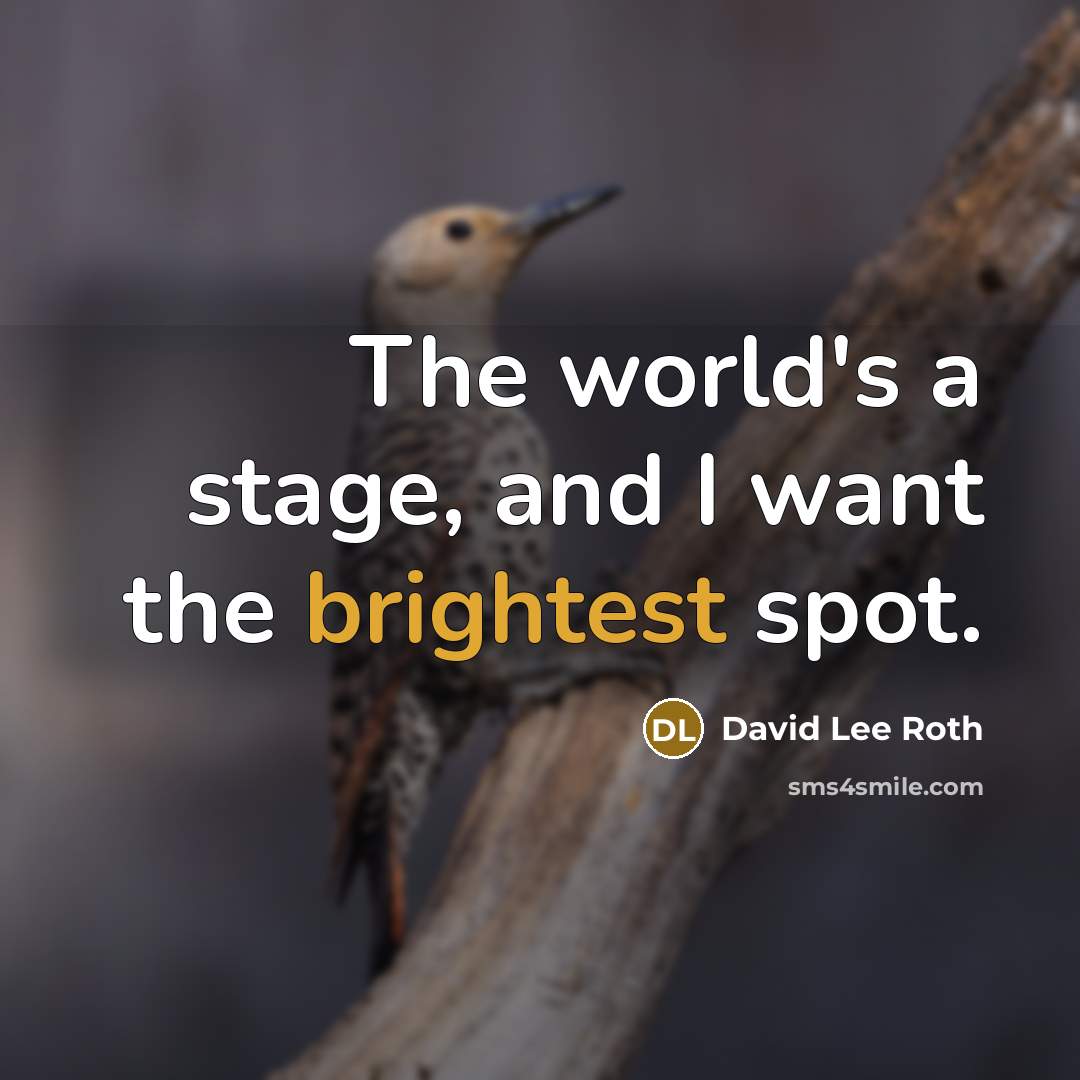 “The world's a stage, and I want the brightest spot.” quote by David Lee Roth