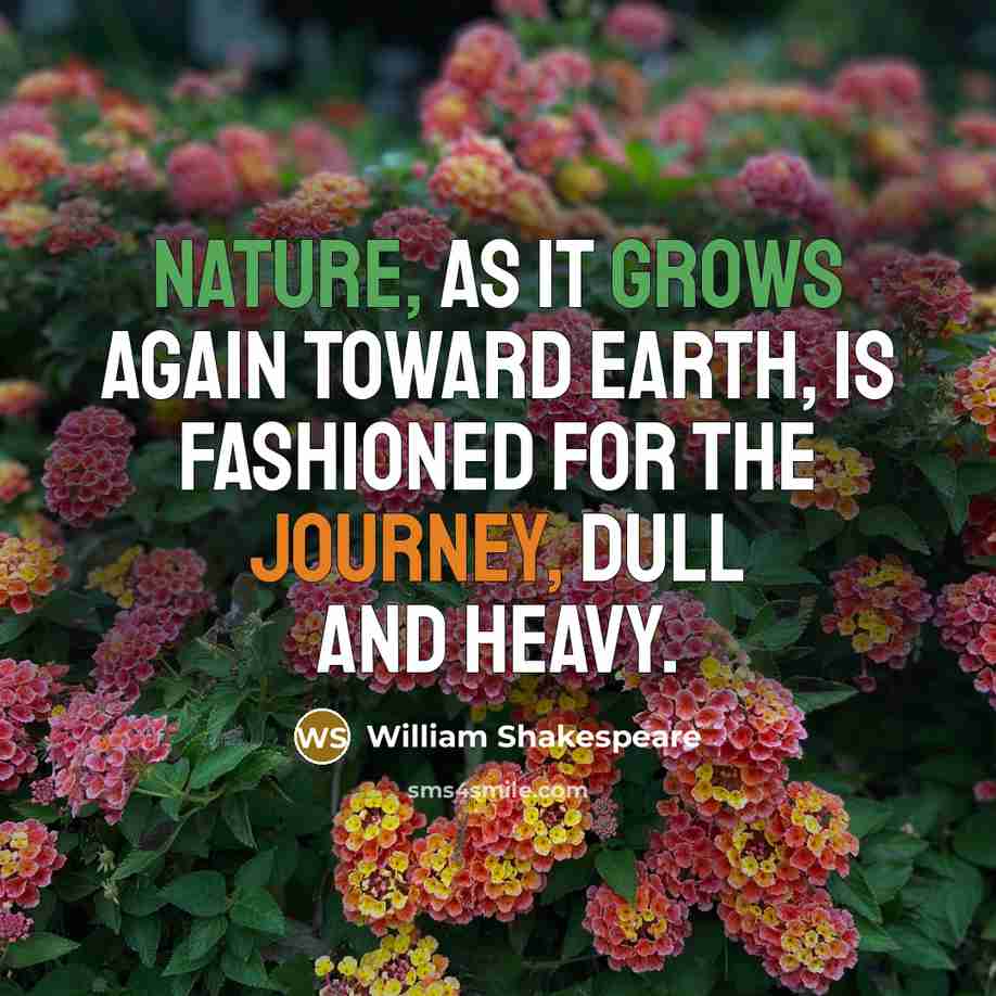 “Nature, as it grows again toward earth, is fashioned for the journey, dull and heavy.” quote by William Shakespeare