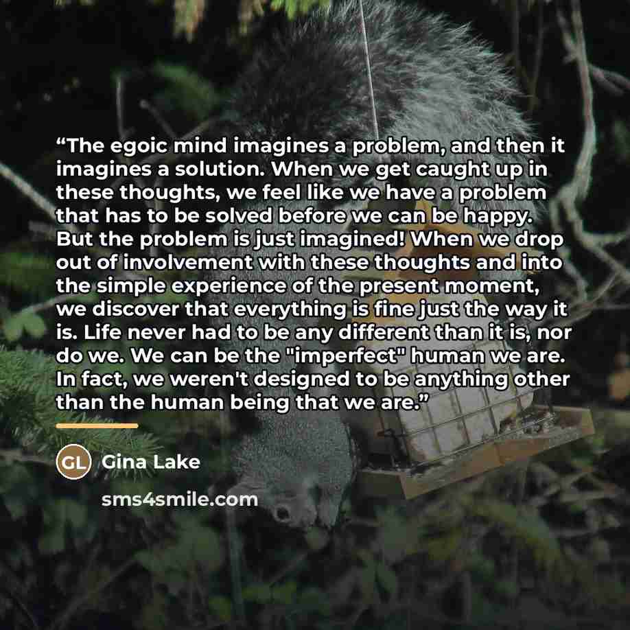 “The egoic mind imagines a problem, and then it imagines a solution. When we get caught up in these thoughts, we feel like we have a problem that has to be solved before we can be happy. But the problem is just imagined! When we drop out of involvement with these thoughts and into the simple…” quote by Gina Lake
