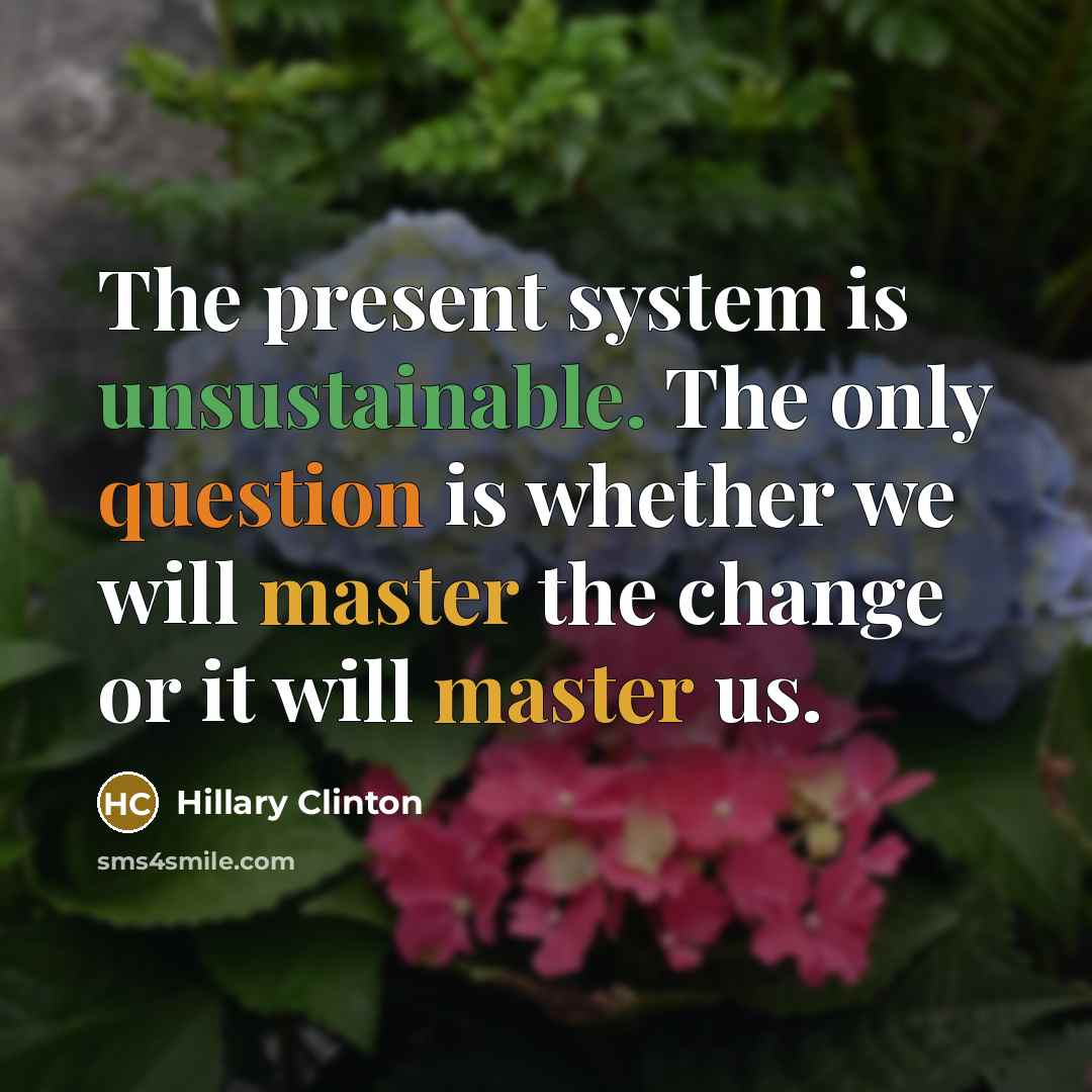 “The present system is unsustainable. The only question is whether we will master the change or it will master us.” quote by Hillary Clinton