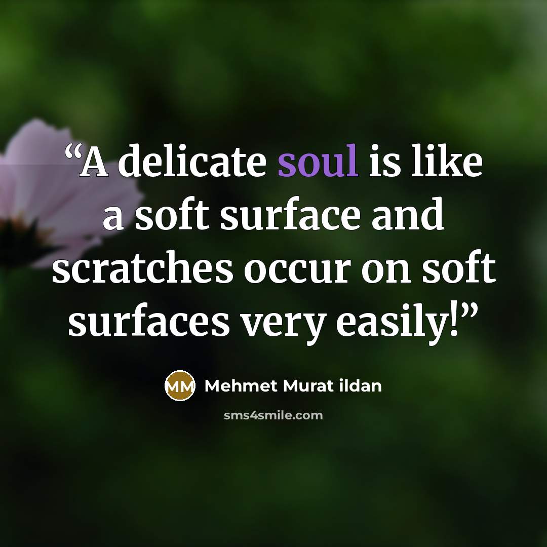 “A delicate soul is like a soft surface and scratches occur on soft surfaces very easily!” quote by Mehmet Murat ildan