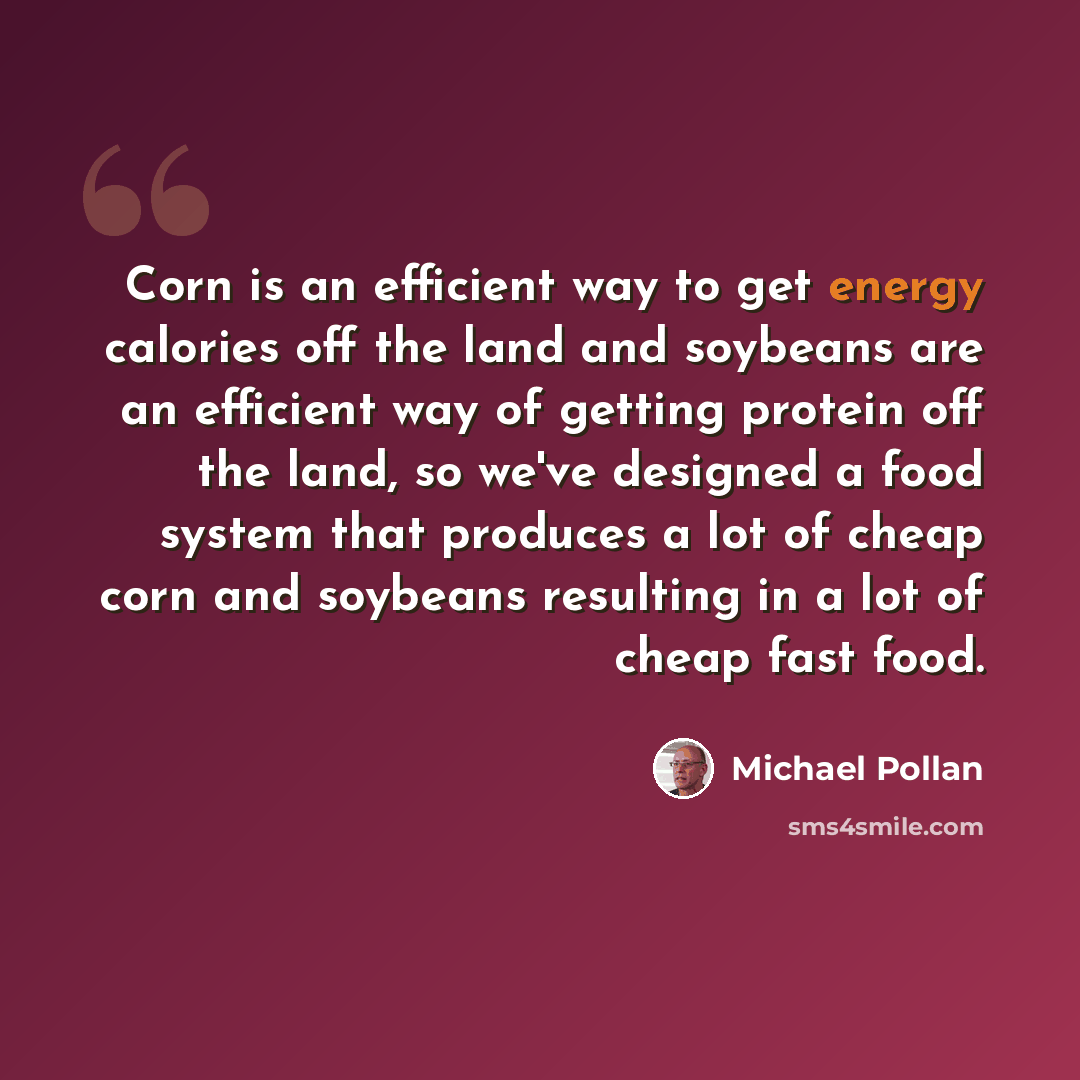 “Corn is an efficient way to get energy calories off the land and soybeans are an efficient way of getting protein off the land, so we've designed a food system that produces a lot of cheap corn and soybeans resulting in a lot of cheap fast food.” quote by Michael Pollan
