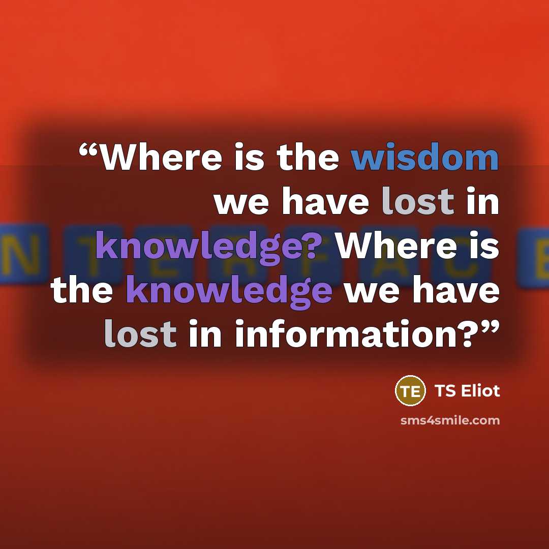 “Where is the wisdom we have lost in knowledge? Where is the knowledge we have lost in information?” quote by TS Eliot