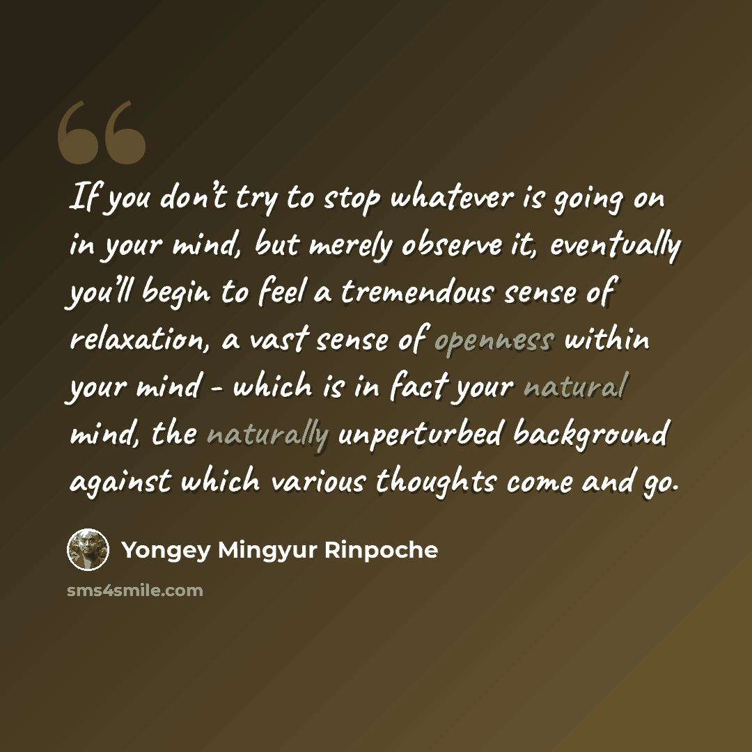 “If you don’t try to stop whatever is going on in your mind, but merely observe it, eventually you’ll begin to feel a tremendous sense of relaxation, a vast sense of openness within your mind - which is in fact your natural mind, the naturally unperturbed background against which various thoughts…” quote by Yongey Mingyur Rinpoche
