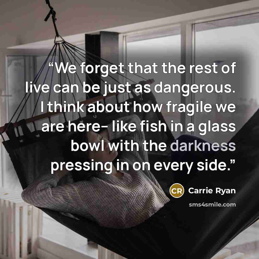 “We forget that the rest of live can be just as dangerous. I think about how fragile we are here-- like fish in a glass bowl with the darkness pressing in on every side.” quote by Carrie Ryan