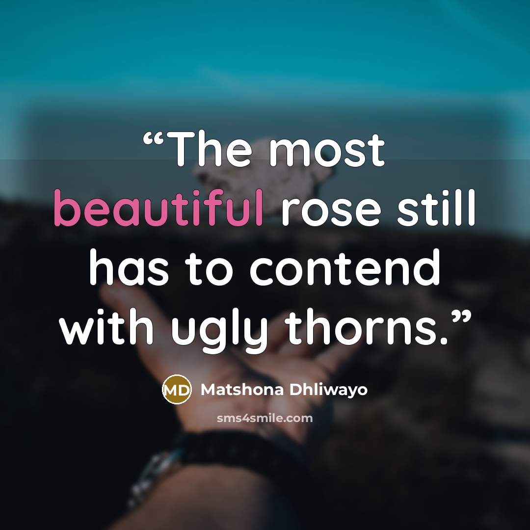 “The most beautiful rose still has to contend with ugly thorns.” quote by Matshona Dhliwayo