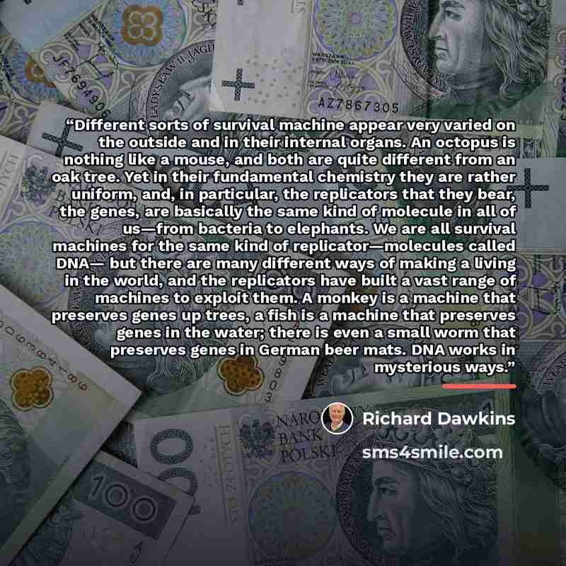 “Different sorts of survival machine appear very varied on the outside and in their internal organs. An octopus is nothing like a mouse, and both are quite different from an oak tree. Yet in their fundamental chemistry they are rather uniform, and, in particular, the replicators that they bear, the…” quote by Richard Dawkins