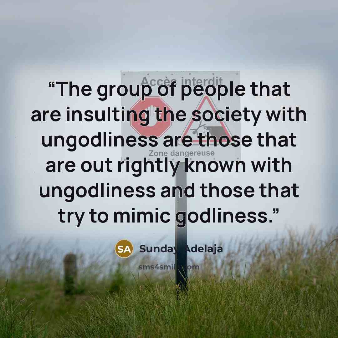 “The group of people that are insulting the society with ungodliness are those that are out rightly known with ungodliness and those that try to mimic godliness.” quote by Sunday Adelaja