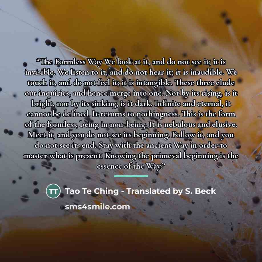 “The Formless Way We look at it, and do not see it; it is invisible. We listen to it, and do not hear it; it is inaudible. We touch it, and do not feel it; it is intangible. These three elude our inquiries, and hence merge into one. Not by its rising, is it bright, nor by its sinking, is it dark…” quote by Tao Te Ching - Translated by S. Beck