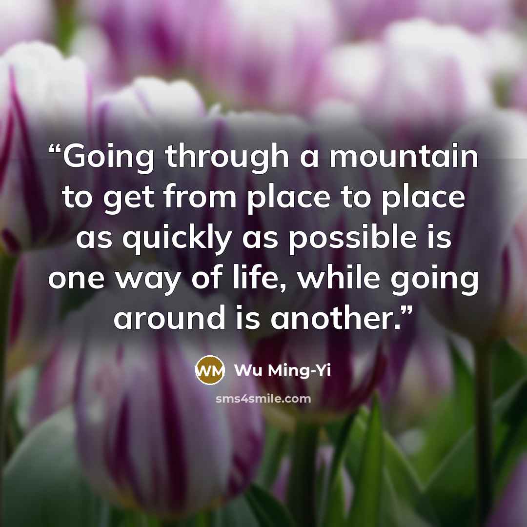“Going through a mountain to get from place to place as quickly as possible is one way of life, while going around is another.” quote by Wu Ming-Yi