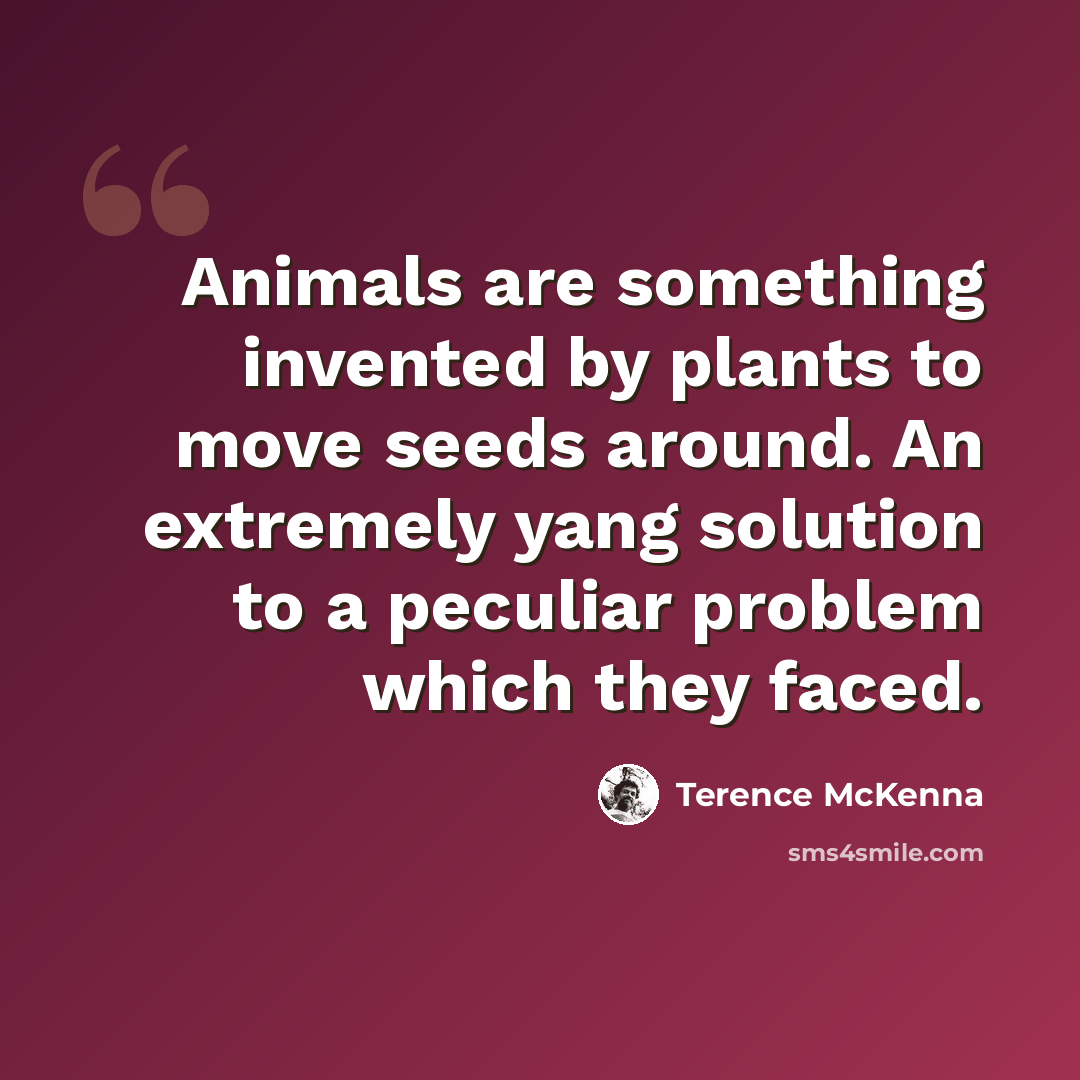 “Animals are something invented by plants to move seeds around. An extremely yang solution to a peculiar problem which they faced.” quote by Terence McKenna