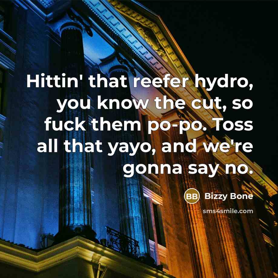 “Hittin' that reefer hydro, you know the cut, so fuck them po-po. Toss all that yayo, and we're gonna say no.” quote by Bizzy Bone