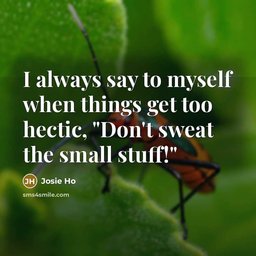 “I always say to myself when things get too hectic, "Don't sweat the small stuff!"” quote by Josie Ho