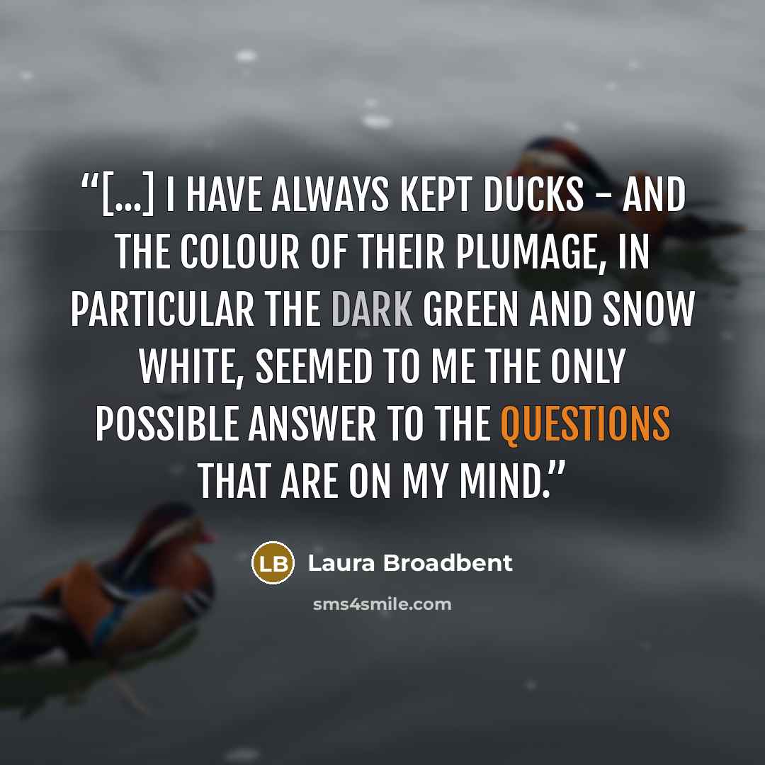 “[...] I have always kept ducks - and the colour of their plumage, in particular the dark green and snow white, seemed to me the only possible answer to the questions that are on my mind.” quote by Laura Broadbent