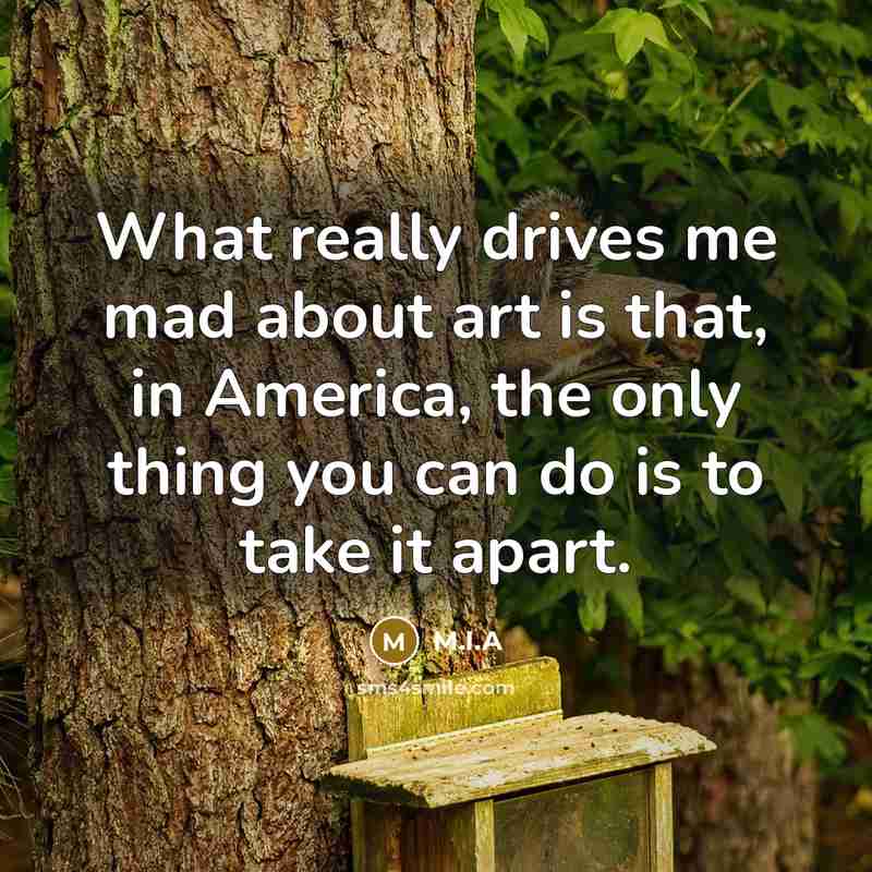 “What really drives me mad about art is that, in America, the only thing you can do is to take it apart.” quote by M.I.A
