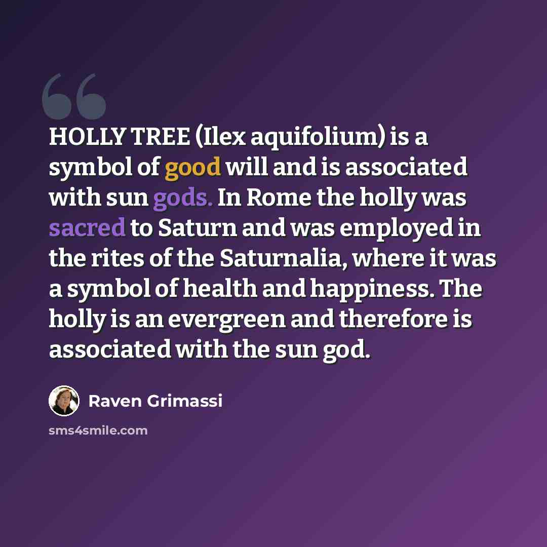 “HOLLY TREE (Ilex aquifolium) is a symbol of good will and is associated with sun gods. In Rome the holly was sacred to Saturn and was employed in the rites of the Saturnalia, where it was a symbol of health and happiness. The holly is an evergreen and therefore is associated with the sun god.” quote by Raven Grimassi