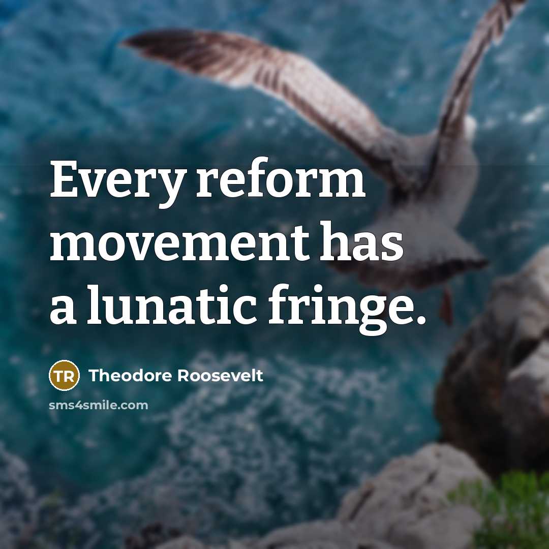 “Every reform movement has a lunatic fringe.” quote by Theodore Roosevelt