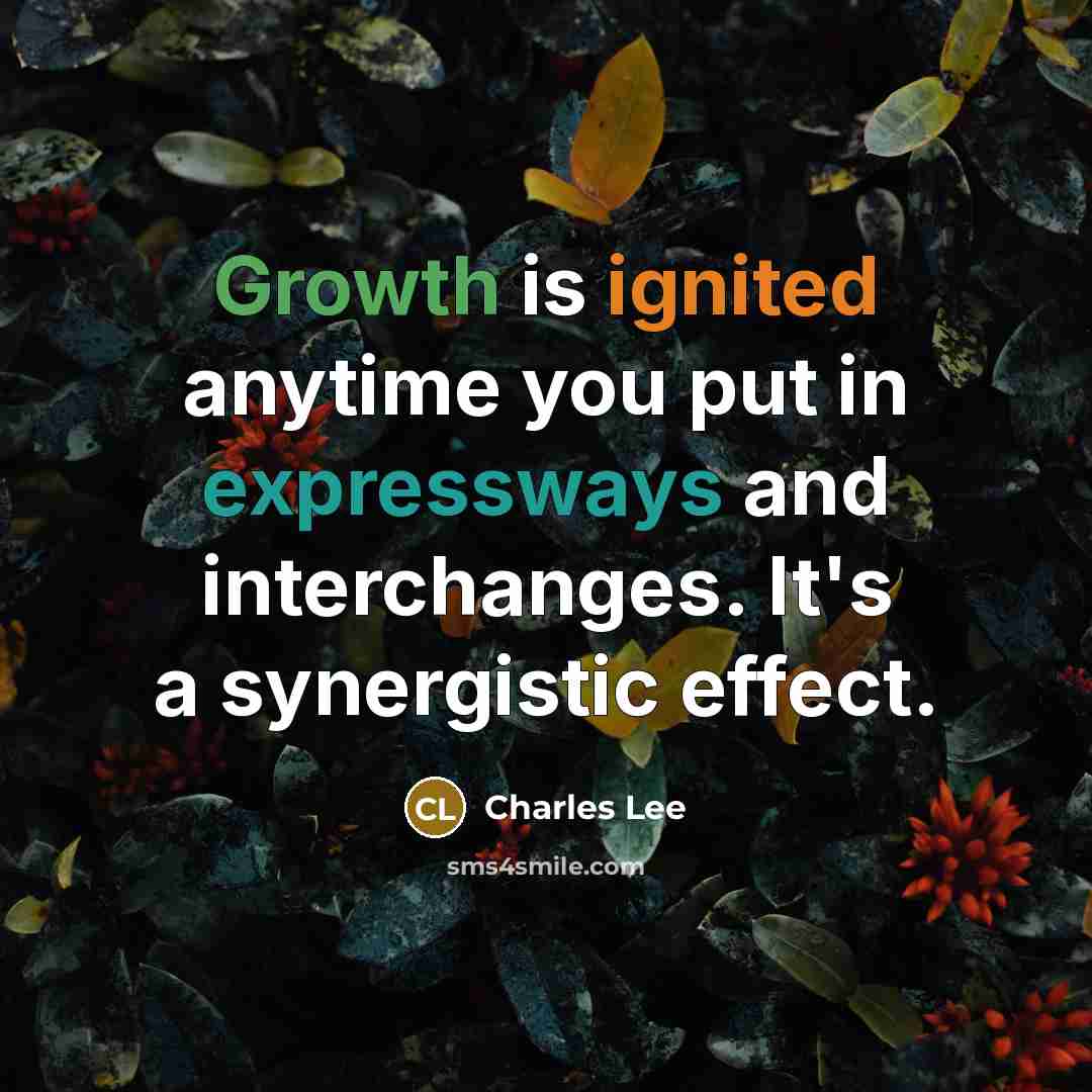 “Growth is ignited anytime you put in expressways and interchanges. It's a synergistic effect.” quote by Charles Lee