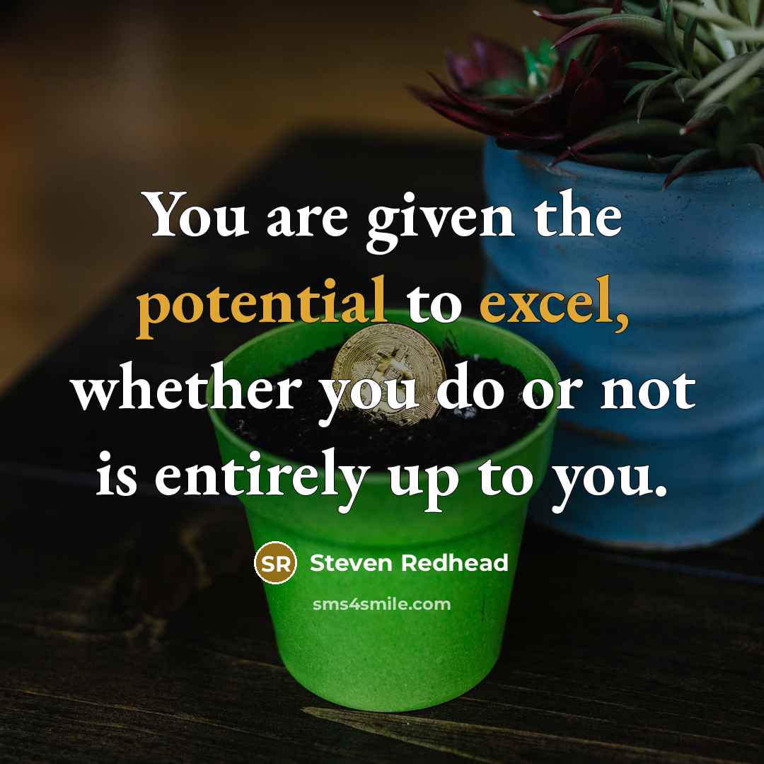 “You are given the potential to excel, whether you do or not is entirely up to you.” quote by Steven Redhead