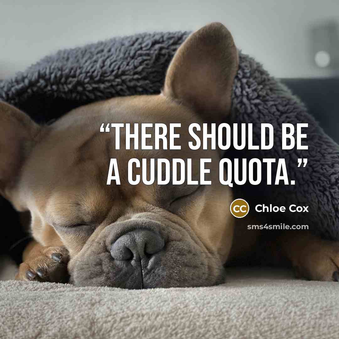 “There should be a cuddle quota.” quote by Chloe Cox